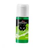 VIBROQUETE GEL ELETRIZANTE MENTA 12G HOT FLOWERS